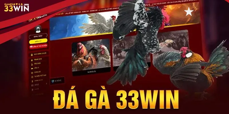 Trang web Đá gà 33Win